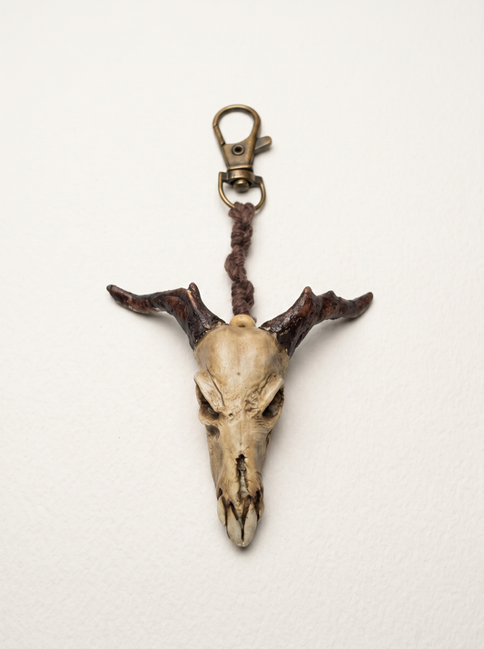 SaintCore Effigy 31